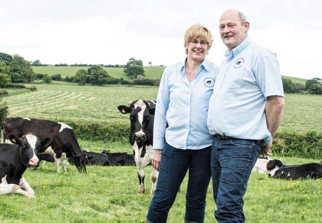 Stephensons Dairy | Independent Coffee Guide